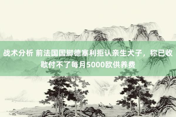 战术分析 前法国国脚德塞利拒认亲生犬子，称已收歇付不了每月5000欧供养费