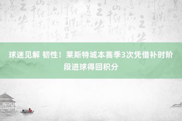 球迷见解 韧性！莱斯特城本赛季3次凭借补时阶段进球得回积分