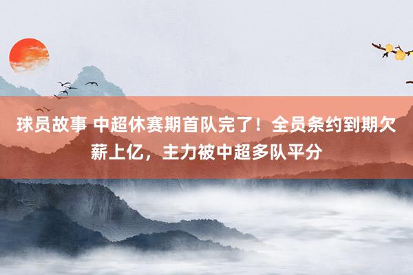 球员故事 中超休赛期首队完了！全员条约到期欠薪上亿，主力被中超多队平分