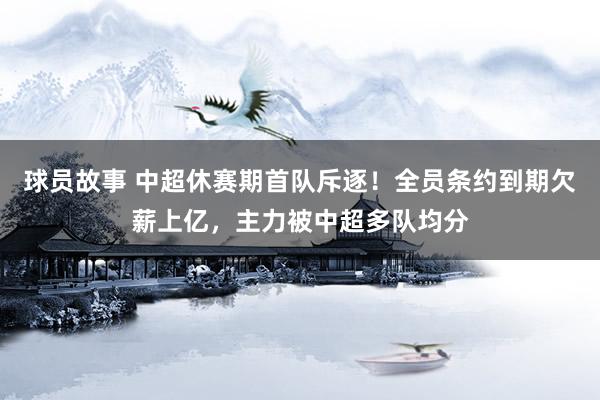 球员故事 中超休赛期首队斥逐！全员条约到期欠薪上亿，主力被中超多队均分