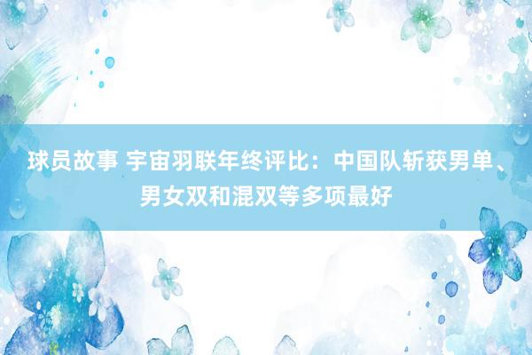 球员故事 宇宙羽联年终评比：中国队斩获男单、男女双和混双等多项最好